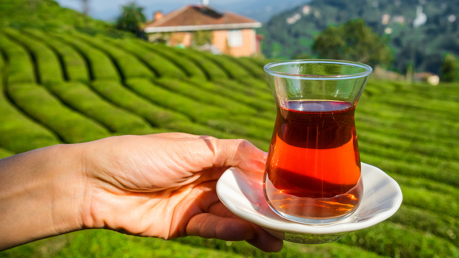 How to Make Turkish Tea?