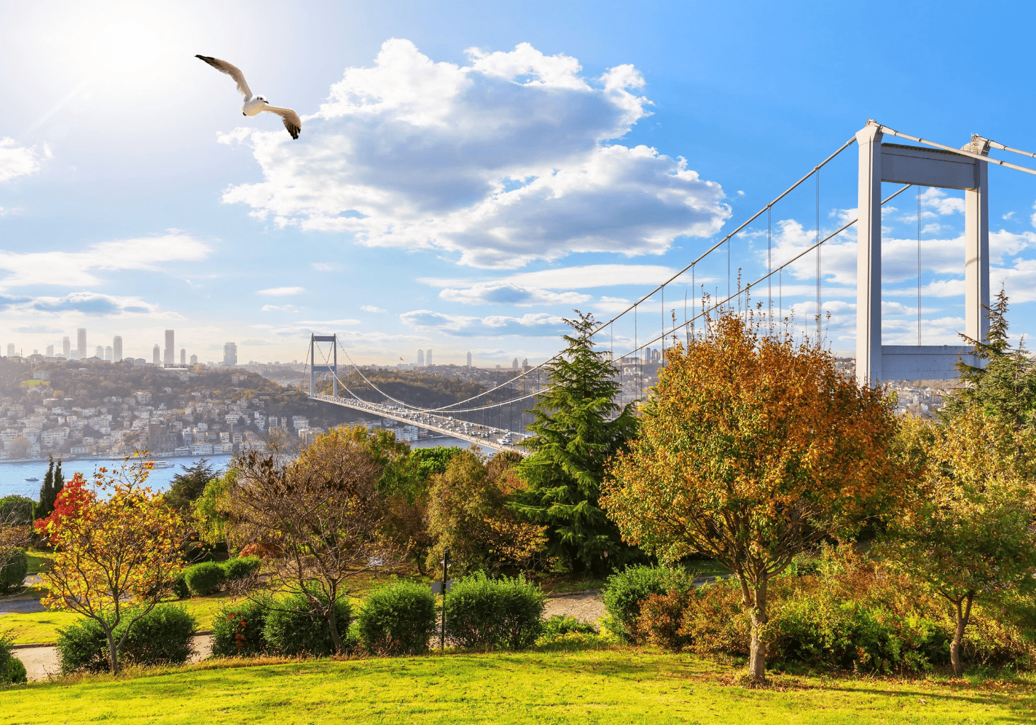 5 Must-see Attractions in Istanbul in Fall